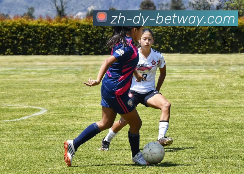 BETWAY必威官网平台生态图